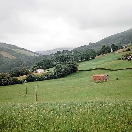 Hotel Barberaenea *